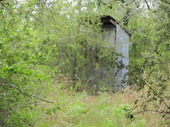 Westville, Florida 32464, ,Land,For Sale,Gillman Rd,869242
