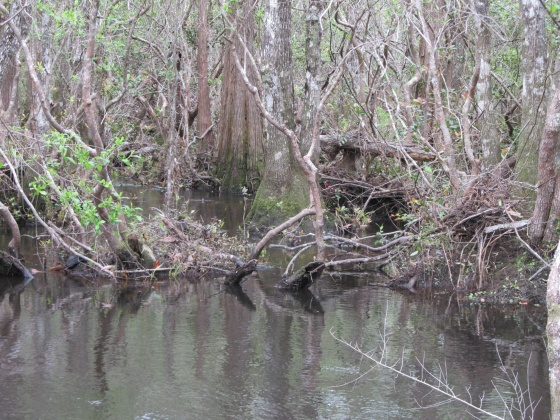 Westville, Florida 32464, ,Land,For Sale,Gillman Rd,869242