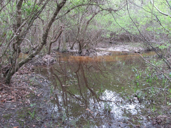 Westville, Florida 32464, ,Land,For Sale,Gillman Rd,869242