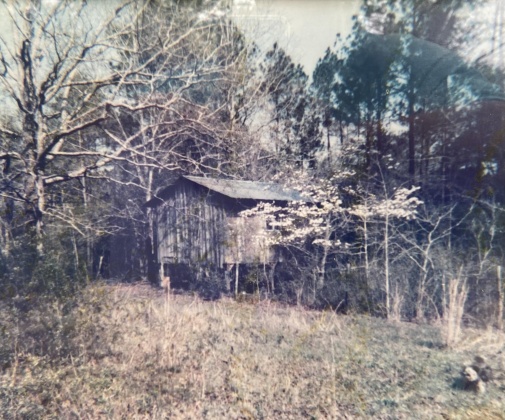 Westville, Florida 32464, ,Land,For Sale,Gillman Rd,869242