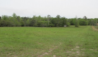 Westville, Florida 32464, ,Land,For Sale,Gillman Rd,869242