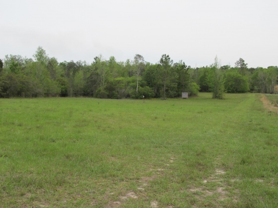 Westville, Florida 32464, ,Land,For Sale,Gillman Rd,869242
