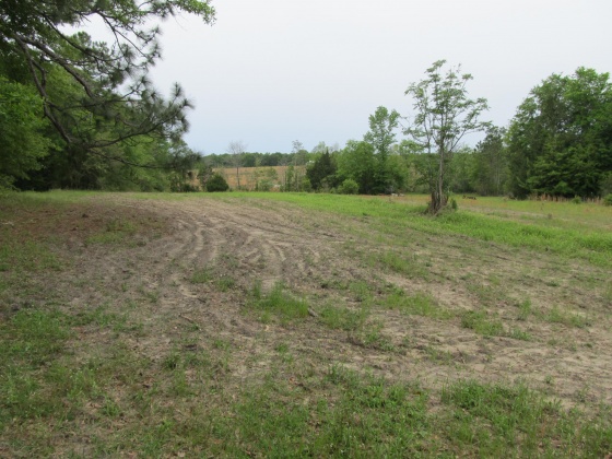Westville, Florida 32464, ,Land,For Sale,Gillman Rd,869242