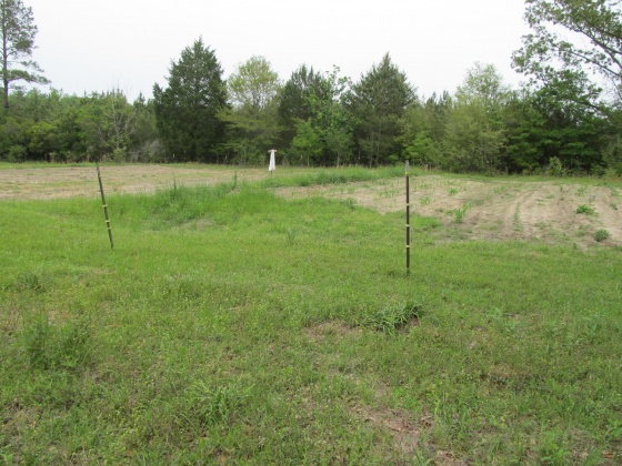 Westville, Florida 32464, ,Land,For Sale,Gillman Rd,869242