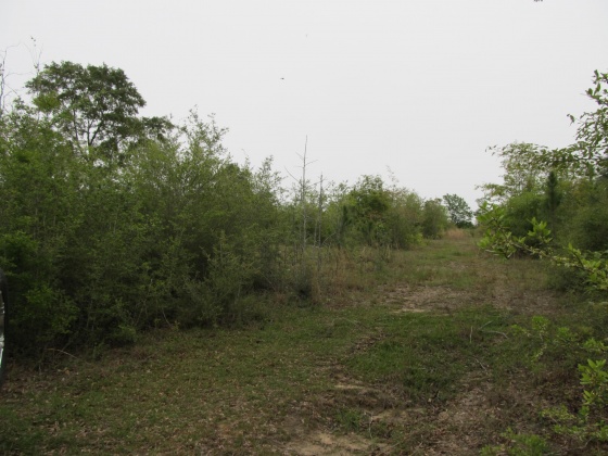 Westville, Florida 32464, ,Land,For Sale,Gillman Rd,869242
