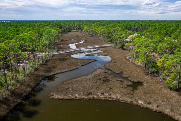 Panama City Beach, Florida 32413, ,Land,For Sale,Preservation,869209