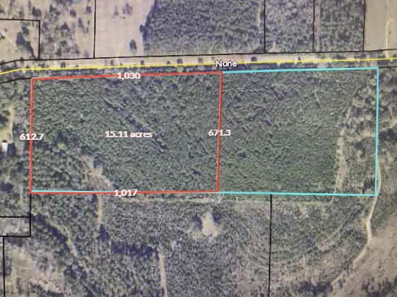 Westville, Florida 32464, ,Land,For Sale,Coursey Road,869225