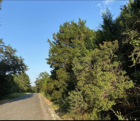 Westville, Florida 32464, ,Land,For Sale,Coursey Road,869225