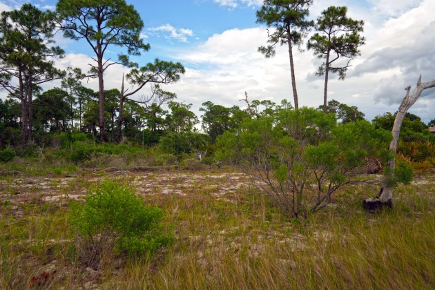 Mary Esther, Florida 32569, ,Land,For Sale,Forest Shores,869232