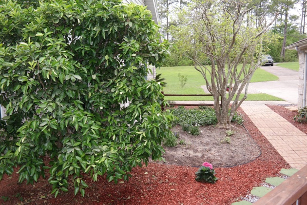 Defuniak Springs, Florida 32433, 3 Bedrooms Bedrooms, ,2 BathroomsBathrooms,Residential,For Sale,Placid Lake,869211